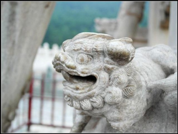  狮子的形象准备攻击