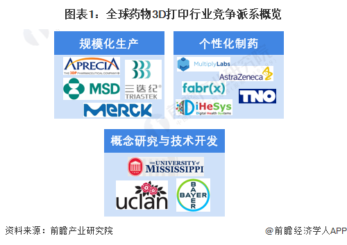 图表1:全球药物<a href='https://www.3ddayin.net/' target='_blank'><u>3D打印行业</u></a>竞争派系概览